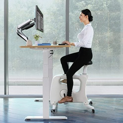 Ergonomic Furniture