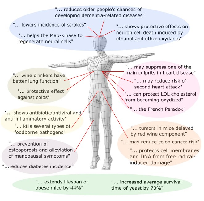 Health Benefits of Wine