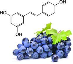 Resveratrol structure